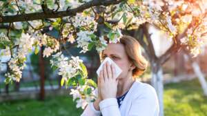 Êtes-vous incollable sur les allergies printanières ?
