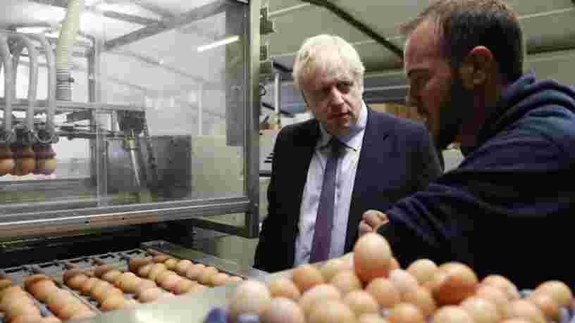 Brexit : les industriels britanniques craignent de manquer d'oeufs liquides dans le cas d'un 'no deal'