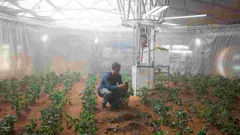 Pourquoi les projets d'Elon Musk pour rendre Mars vivable ne sont pas concrètement faisables