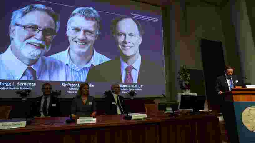 Nobel de médecine : comment les découvertes des lauréats pourraient faire avancer la lutte contre le cancer