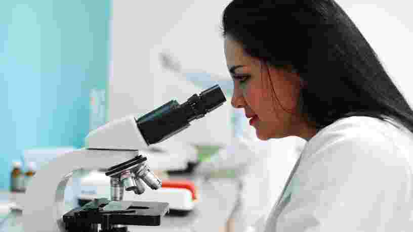 La nouvelle loi de bioéthique laisse le champ libre à la création d'embryons mi-homme mi-animal