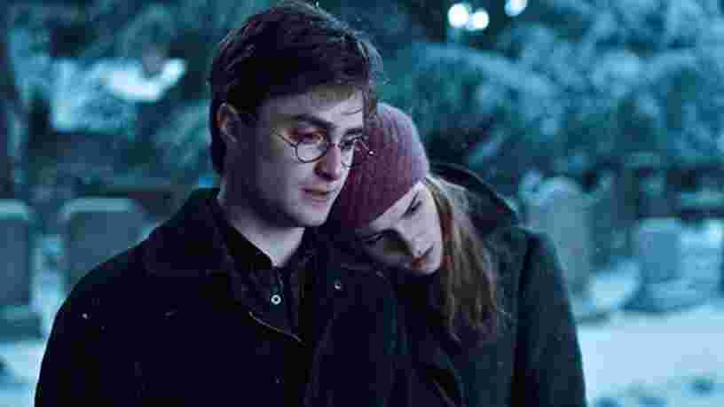 'Harry potter', 'Slumdog Millionaire'... Les films qui quittent Netflix en novembre