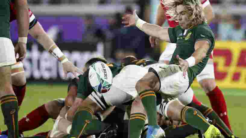 TF1 souffre de l'annulation de matches à la Coupe du monde de rugby