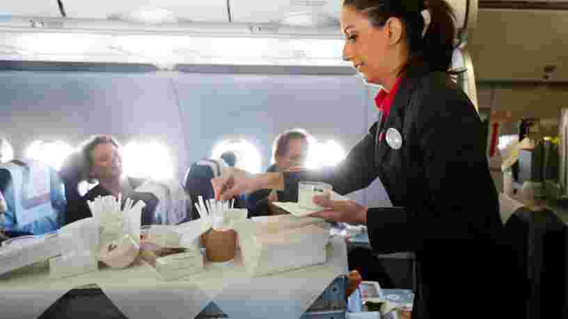 10 hôtesses de l'air et stewards révèlent les aspects les plus décevants de leur profession