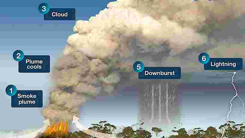 Les gigantesques feux de brousse en Australie génèrent des orages qui peuvent favoriser d'autres incendies