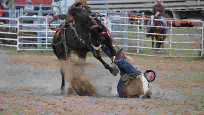 Castorama poursuit sa chute — et sa patronne dit qu'il n'y a pas de 'solution miracle'