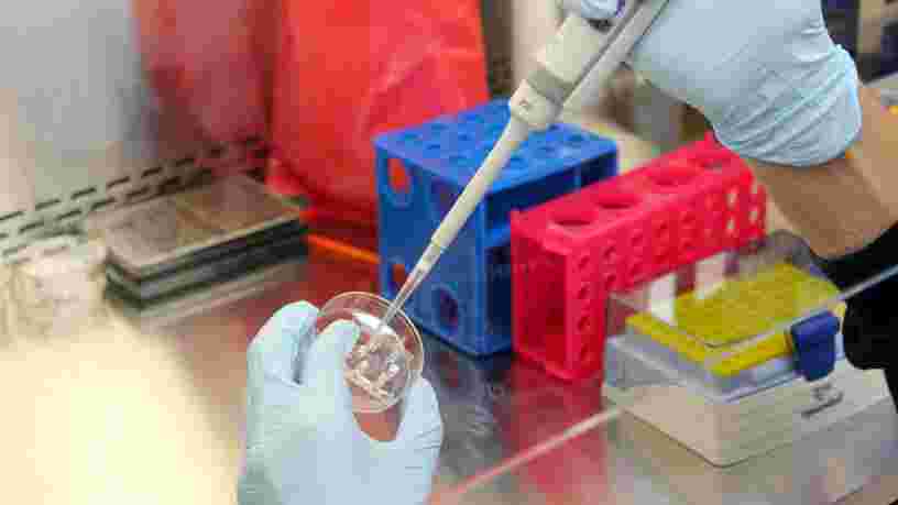 Une modification génétique censée protéger contre le Sida pourrait augmenter le risque de mourir de la grippe