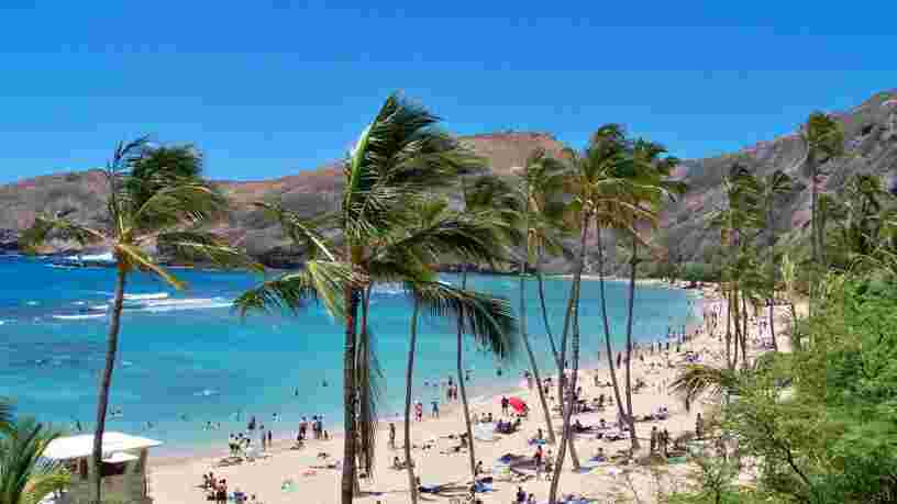 Des chercheurs du MIT ont trouvé un moyen de sauver des îles comme Hawaii, menacées par la montée des eaux