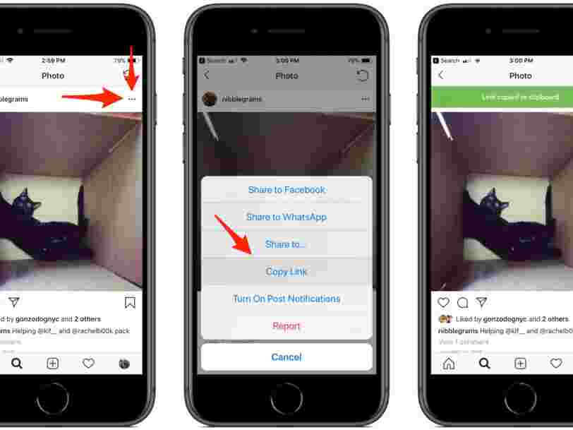Comment Telecharger Des Photos Depuis Instagram Avec Une Technique Toute Simple