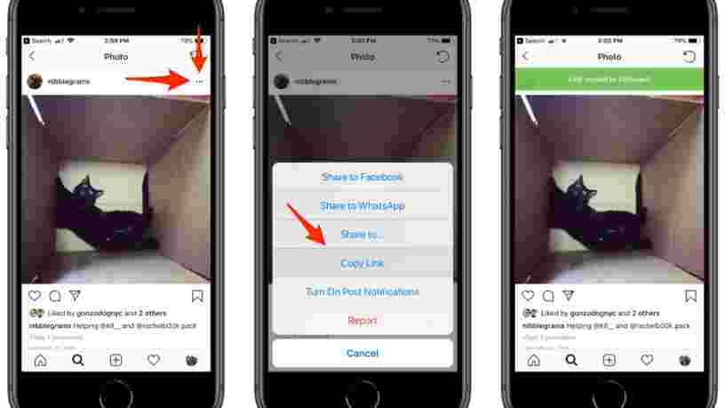 Comment télécharger des photos depuis Instagram avec une technique toute simple