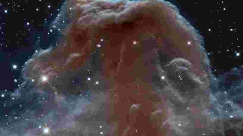 11 photos prises par le télescope Hubble de la NASA qui montrent des formes ressemblant à des animaux