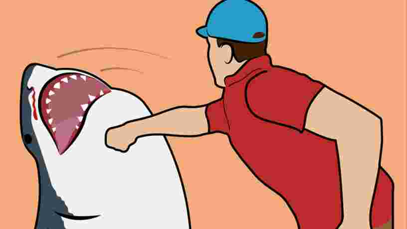 10 mythes de survie qui peuvent vous tuer