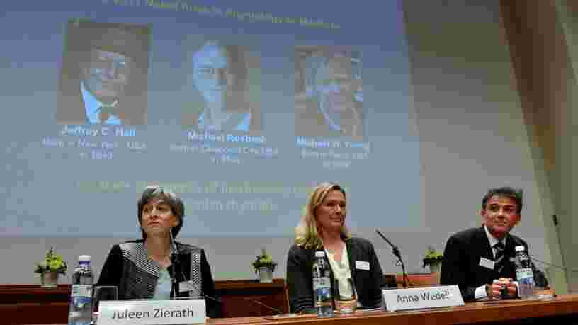 3 chercheurs américains qui travaillent sur l'horloge biologique ont reçu le prix Nobel de médecine