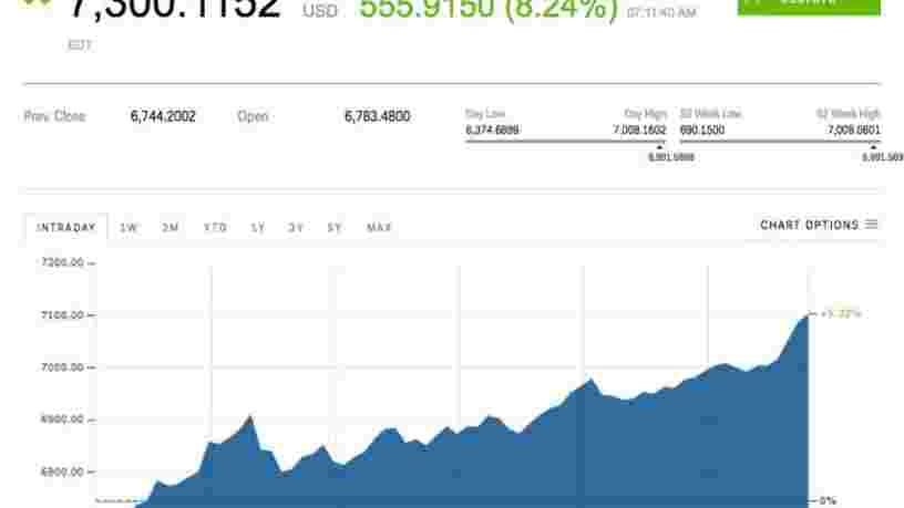 Le cours du Bitcoin a dépassé les 7300$