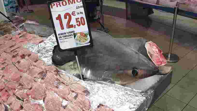 Intermarché épinglé pour avoir vendu du requin-renard, une espèce menacée