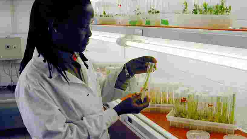Un fonds entièrement dédié aux sciences de la vie se dote de près de 65M€