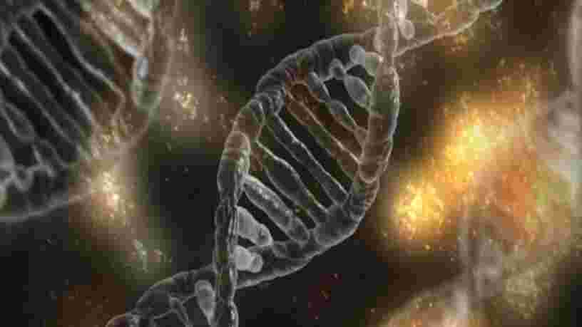 La NASA travaille sur un ADN synthétique qui pourrait nous aider à comprendre les extraterrestres