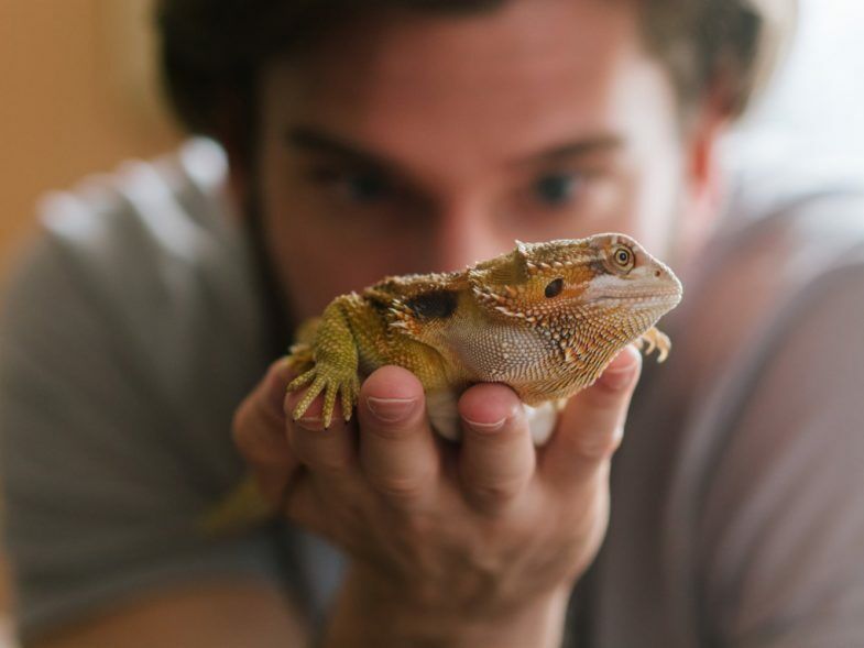 11 Maladies Que Les Animaux Peuvent Transmettre Aux Humains