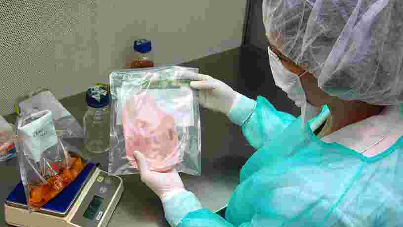 De nombreux scandales sanitaires sont dus à la listeria — voici ce qu'il faut savoir sur cette bactérie très répandue dans notre environnement