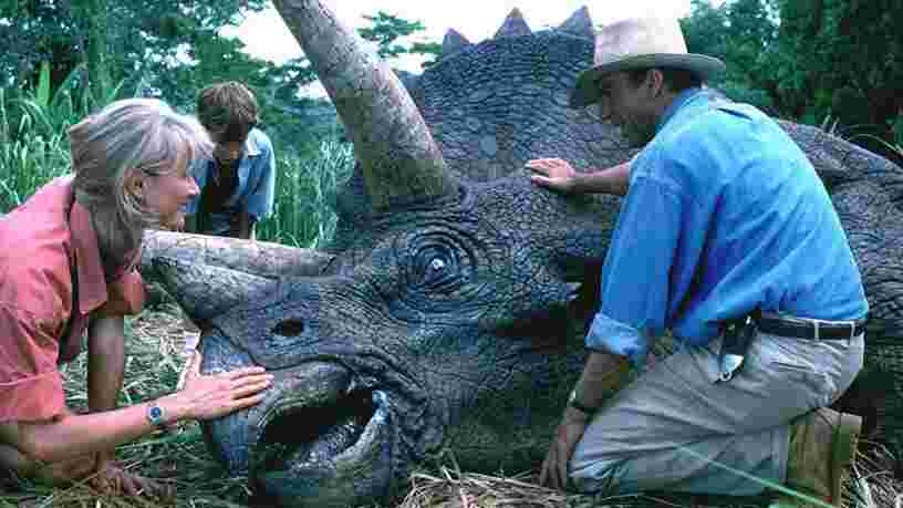 Cette spécialiste de la blockchain explique pourquoi le bitcoin est un dinosaure de la crypto