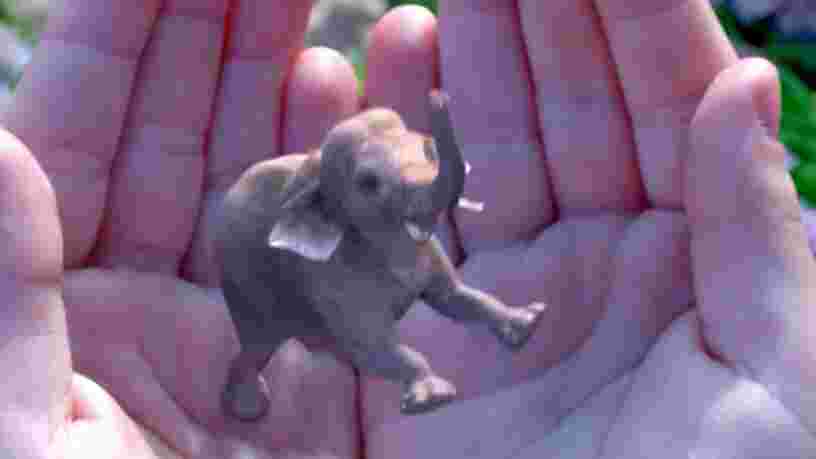 C'est officiel: la discrète startup de réalité augmentée Magic Leap vient de lever 502M$