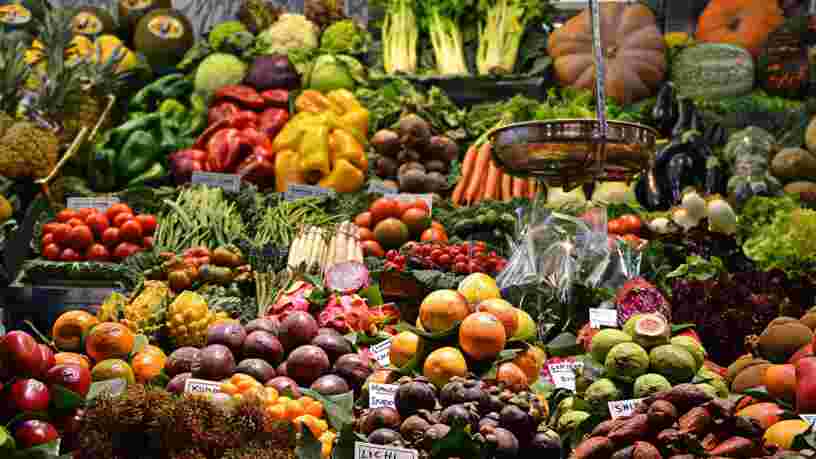 Un rapport du GIEC recommande de manger végétarien pour lutter contre le réchauffement climatique