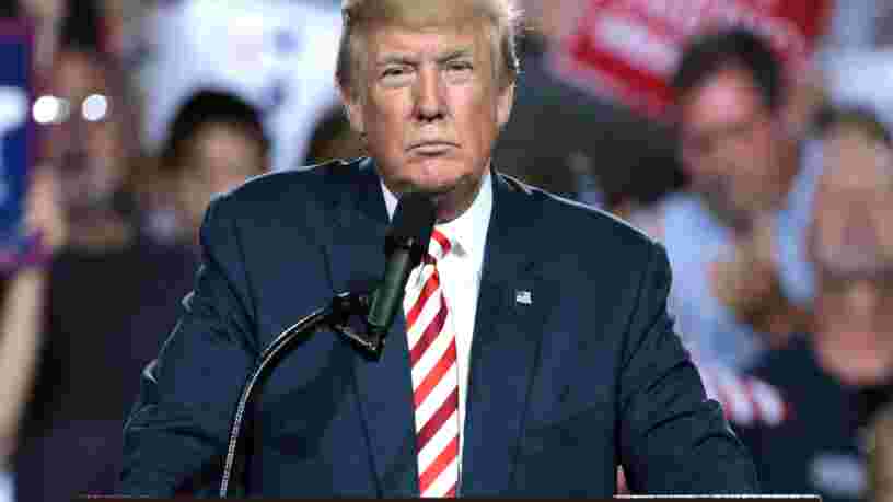 Rien ne permet d'affirmer que Donald Trump est coupable de collusion avec la Russie mais le rapport Mueller "ne l'exonère pas" sur un autre point