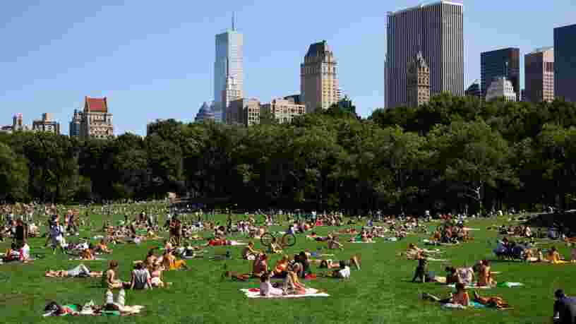Les 12 villes avec le plus d'arbres dans le monde