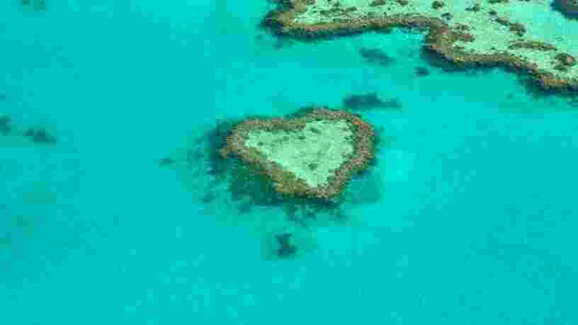 La Grande barrière de corail est l'un des endroits les plus spectaculaires du monde — voici à quoi elle ressemble en disparaissant