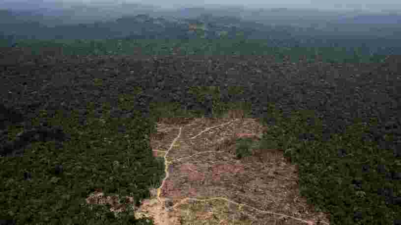 L'élection d'un président d'extrême droite au Brésil pourrait dévaster l'Amazonie et des communautés indigènes réclament un 'couloir sacré de la vie' pour la protéger