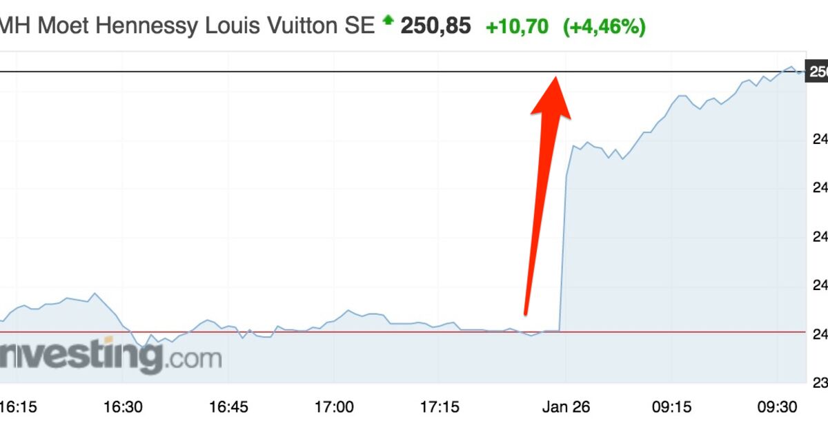 bourse louis vuitton