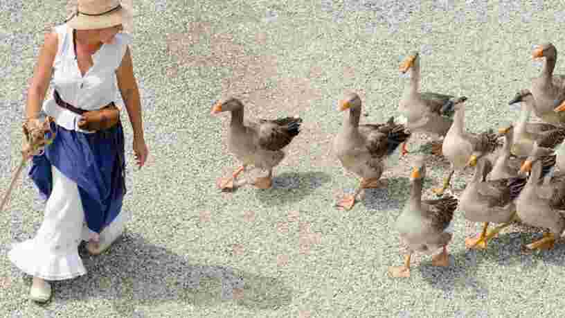 Le foie gras est définitivement interdit en Californie — mais cette décision est sans grande conséquence pour les producteurs français