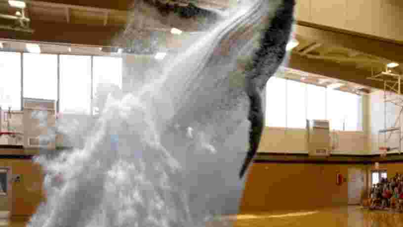 Il semble que Magic Leap pourrait lever 1 Md$ lors de son prochain tour de table