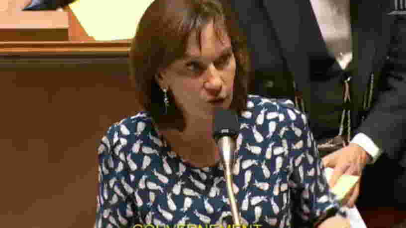 L'Assemblée nationale vote la pénalisation des sites faisant de la 'désinformation' sur l'IVG