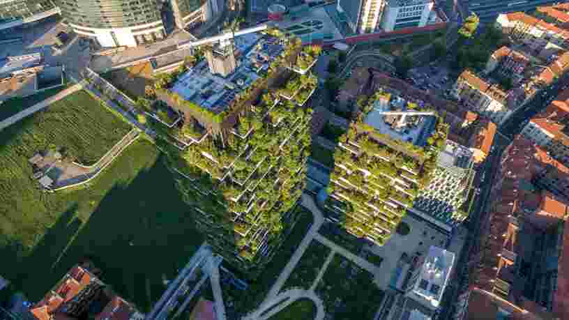 Ces projets montrent que créer des villes-forêts pour lutter contre le changement climatique fonctionne réellement