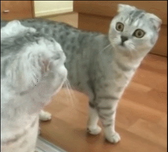 5 - Pour conjurer la peur de vieillir 