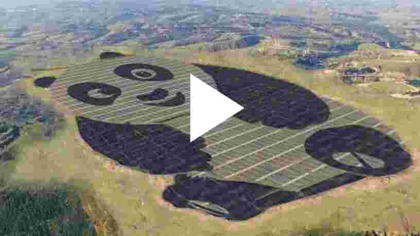 VIDEO: Ce champ photovoltaïque ressemble à un panda vu du ciel — une entreprise chinoise souhaite en bâtir une centaine à travers le monde