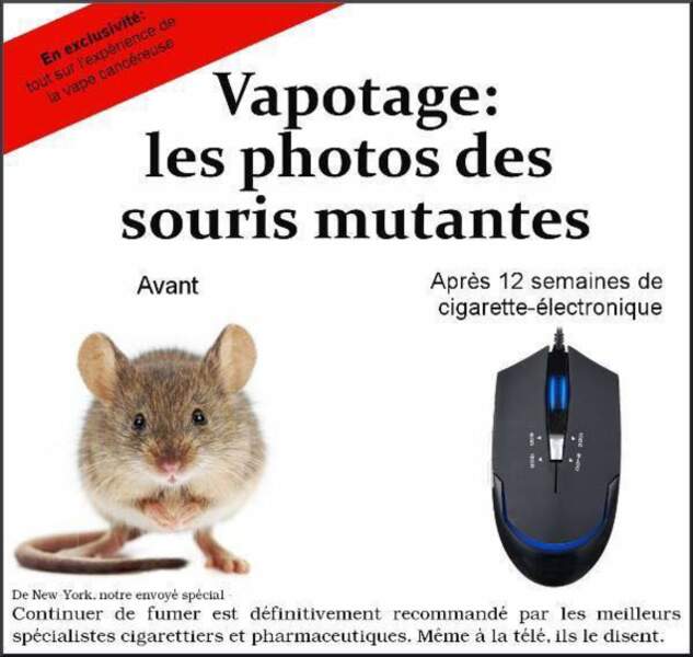 Complot Facile Pour Briller En Société 12 complots faciles pour briller en société - Neonmag.fr