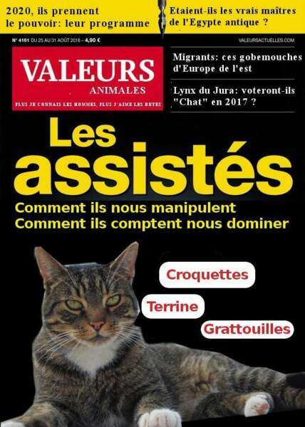 Complots Faciles Pour Briller En Société Twitter 12 complots faciles pour briller en société - Neonmag.fr