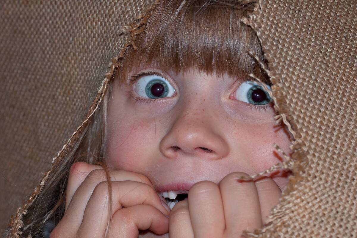 Comment S Appelle La Phobie Des Roux Peur des trous, des pigeons, des nains de jardin... 13 phobies improbables  - Neonmag.fr