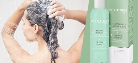 Shampooing à la Menthe Poivrée, le grain de sel Phytodess pour des cheveux purifiés