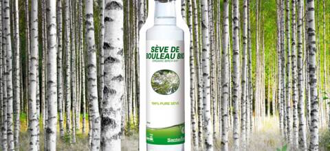 Au coeur de la forêt finlandaise avec Santarôme et sa Sève de Bouleau Bio