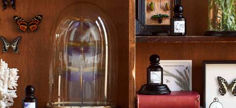 Le petit cabinet de L'Artisan Parfumeur x Deyrolle