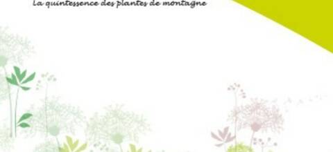 Purissimes ou la quintessence de beauté des plantes de montagne