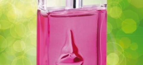 Toutes folles du nouveau parfum Sun & Roses de Salvador Dali