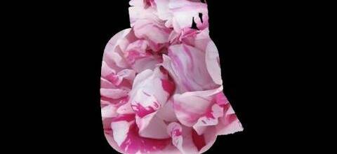Les Parfums de Rosine ou la passion des roses