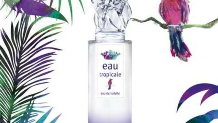 Parfum d'ailleurs par Sisley