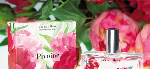 2017, l'année de la pivoine chez Fragonard