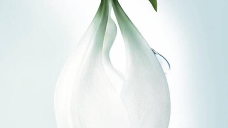 L'Eau d'Issey Pure se fait eau de toilette pour le printemps
