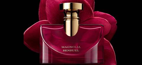 Magnolia Sensuel, nouvelle fleur du bouquet Splendida Bulgari